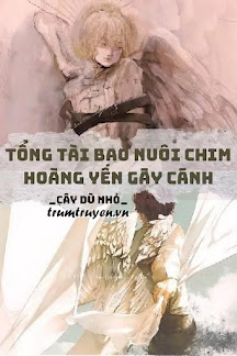 Tổng Tài Bao Nuôi Chim Hoàng Yến Gãy Cánh