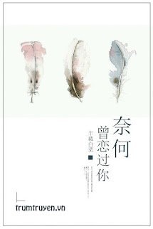 Tiểu thuyết Ngại Gì Từng Yêu Anh - Liêu Thành Xuyên