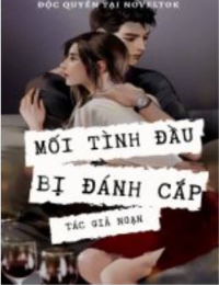 Mối tình đầu bị đánh cắp - Trần Mỹ An